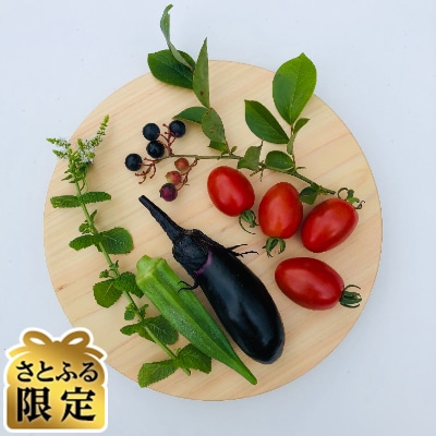 【さとふる限定】木製まんまるまな板　-Sサイズ-　直径約24cm　天然ヒノキ無垢材