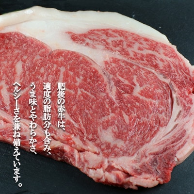 肥後の赤牛ヒレステーキ　300g(小国町)