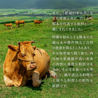 熊本県産 褐毛和種 あかげわしゅ 肥後の赤牛 すき焼き 500g(熊本県小国町)