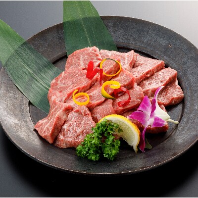 肥後の赤牛　焼肉用　500g(熊本県産和牛)