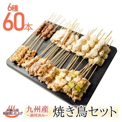 【阿蘇地獄蒸し】焼き鳥6種60本盛合せ(加熱調理済)(小国町)