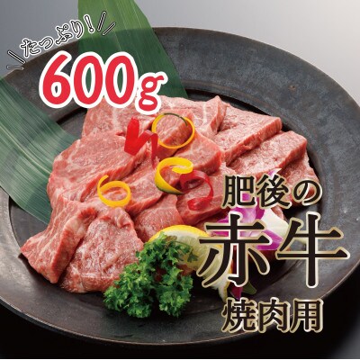肥後の赤牛焼肉用　600g(小国町)