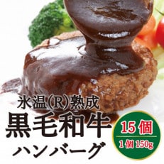 氷温(R)熟成 黒毛和牛ハンバーグ 約150g×15(小国町)