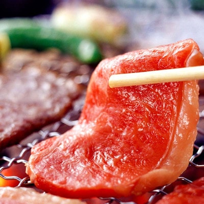 肥後の赤牛焼肉用　800g(小国町)
