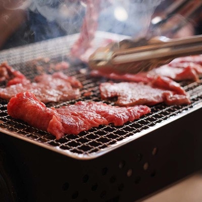 肥後の赤牛焼肉用　800g(小国町)