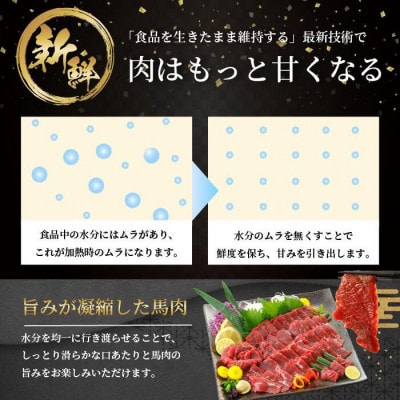 馬肉6種(赤身 ユッケ カルビ フタエゴ コーネ ハツ) 約500g 専用たれ (熊本県小国町)
