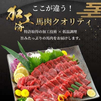 国産 馬肉 赤身 約500g 専用たれ付き (熊本県小国町)