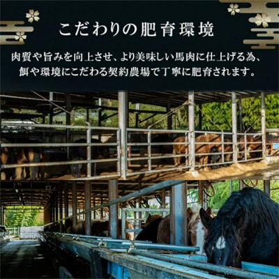国産 上赤身 馬刺し 1000g 1kg 生食用 専用たれ付き(熊本県小国町)