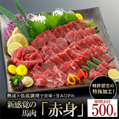 馬肉 赤身 約500g 専用たれ付き (熊本県小国町)
