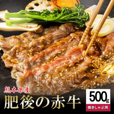肥後の赤牛　焼しゃぶ用500g(小国町)