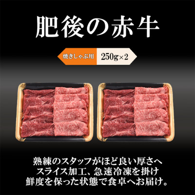 肥後の赤牛　焼しゃぶ用500g(小国町)