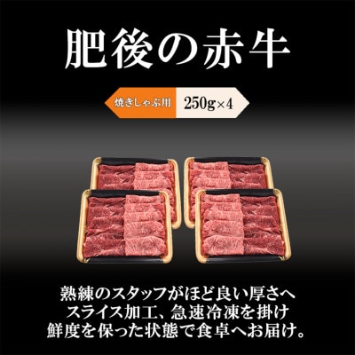 肥後の赤牛　焼しゃぶ用1kg(小国町)