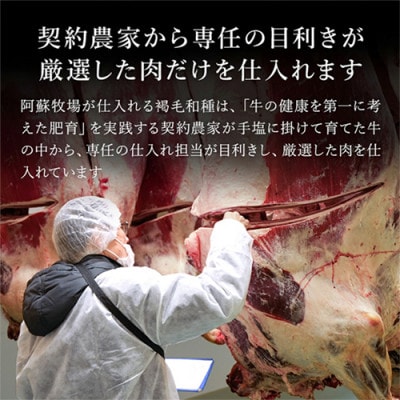 GI地理的表示認定ブランド牛 熊本県産 くまもとあか牛 ヒレステーキ 300g(小国町)