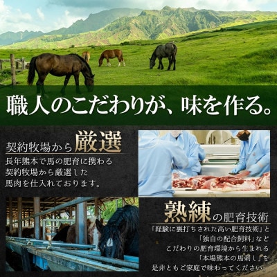 阿蘇牧場 熊本馬刺し 国産4種(上赤身・コウネ・フタエゴ・馬ユッケ) 計540g(小国町)