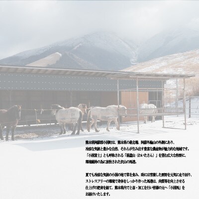 【毎月定期便】阿蘇小国郷育ちの【小国馬】上赤身馬刺し　300g　七福醤油付き全3回