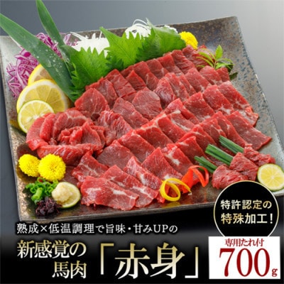 【毎月定期便】馬肉 赤身 約700g 専用たれ付き(小国町)全2回