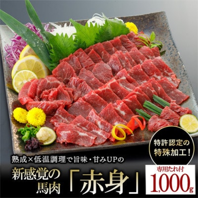 【毎月定期便】馬肉 赤身 約1000g 専用たれ付き(小国町)全2回