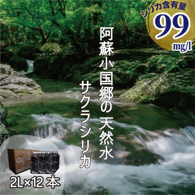 阿蘇小国郷の天然水「サクラシリカ」2L×12本(6本入り2箱)