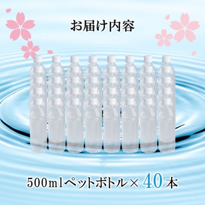 【毎月定期便】阿蘇小国郷の天然水「サクラシリカ」500ml×40本 (ミネラル　シリカ水)全3回