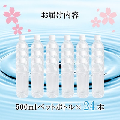 【毎月定期便】阿蘇小国郷が育む天然のシリカ水「サクラシリカ」500ml×24本全6回