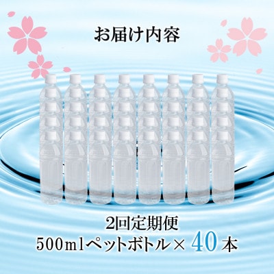 【毎月定期便】阿蘇小国郷が育む天然のシリカ水「サクラシリカ」500ml×40本全2回