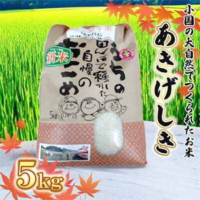 【令和7年産】小国町の大自然の中でつくられたお米(5kg) あきげしき