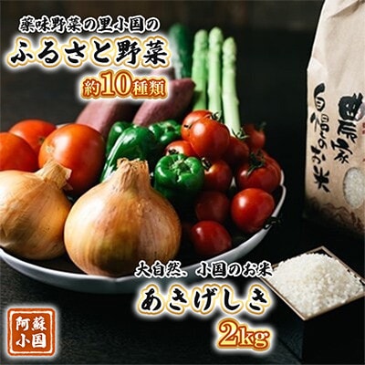 【阿蘇小国町】薬味野菜の里小国ふるさと野菜とお米2kg(あきげしき)の詰め合わせ