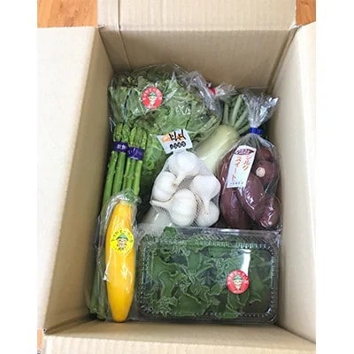 【阿蘇小国町】薬味野菜の里小国ふるさと野菜とお米2kg(あきげしき)の詰め合わせ