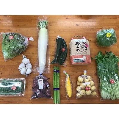 【阿蘇小国町】薬味野菜の里小国ふるさと野菜とお米2kg(あきげしき)の詰め合わせ