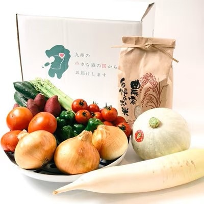 【阿蘇小国町】薬味野菜の里小国ふるさと野菜とお米(あきげしき)5kgの詰め合わせ