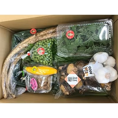 【阿蘇小国町】薬味野菜の里小国ふるさと野菜とお米(あきげしき)5kgの詰め合わせ