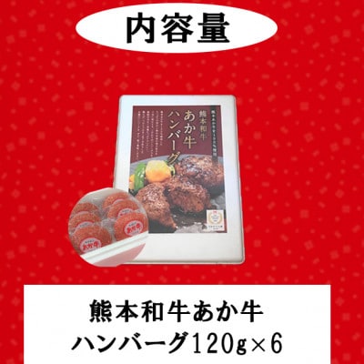 熊本和牛あか牛100パーセント ハンバーグ 計720g(小国町)