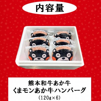 くまモンあか牛 ハンバーグ 120g計6個セット(小国町)