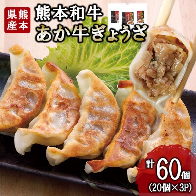 熊本和牛あか牛 ぎょうざ 計60個セット(小国町)