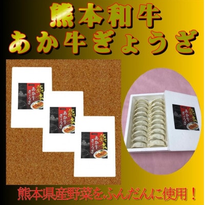 熊本和牛あか牛 ぎょうざ 計60個セット(小国町)