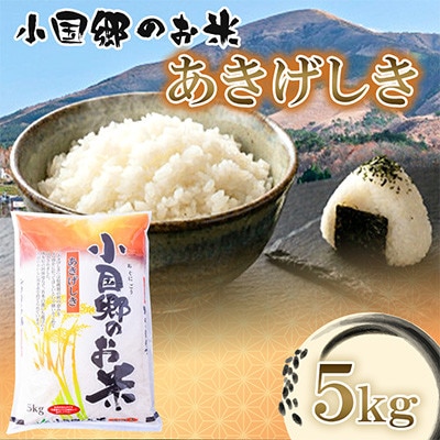【JA阿蘇小国郷】小国郷産あきげしき5kg