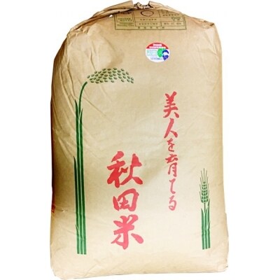 秋田県産 あきたこまち 玄米 30キロ 令和元年産