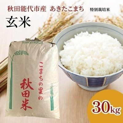 玄米】秋田県認証 特別栽培米 あきたこまち 30kg [No.5335-0304