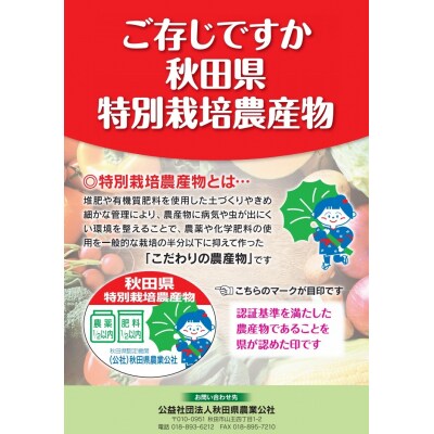 【令和4年産新米】秋田県認証 特別栽培米 あきたこまち 玄米 30kg