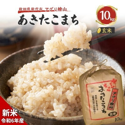【玄米】秋田県産 あきたこまち 10kg アグリ檜山[No.5335-0036]