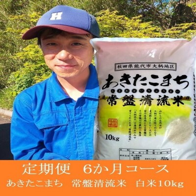 《定期便6ヶ月》【白米】秋田県産 あきたこまち 10kg×6回[No.5335-0056]