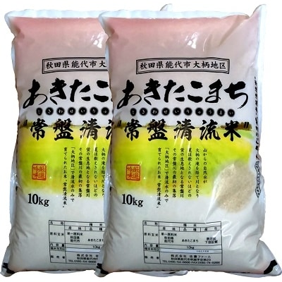 《定期便6ヶ月》【白米】秋田県産 あきたこまち 20kg×6回[No.5335-0059]
