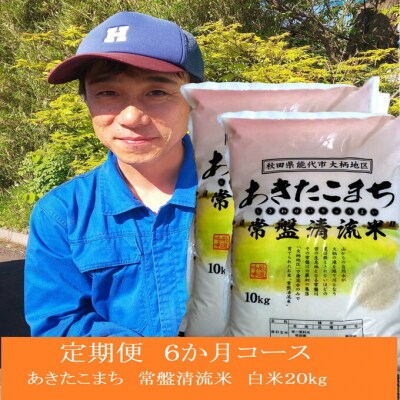 《定期便6ヶ月》【白米】秋田県産 あきたこまち 20kg×6回[No.5335-0059]