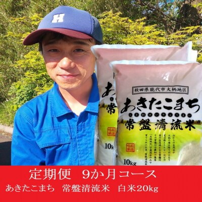 《定期便9ヶ月》【白米】秋田県産 あきたこまち 20kg×9回[No.5335-0060]