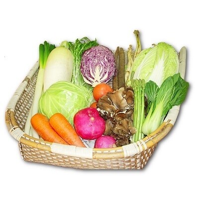 【6ヶ月定期便】能代の恵み「地場野菜・果物・山菜」などの季節の詰合せ[No.5335-0172]