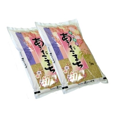 【令和2年産新米】秋田県能代市産 あきたこまち 玄米 10kg(5㎏×2袋)