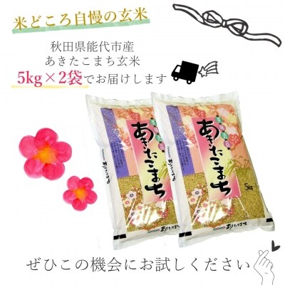 【令和3年産米】あきたこまち 玄米 10kg 秋田県能代市産