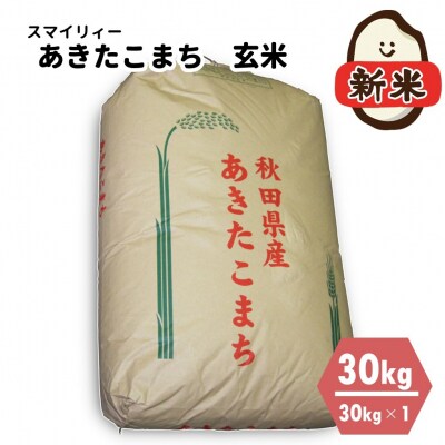 【令和4年産新米】あきたこまち 玄米 30kg 秋田県能代市産