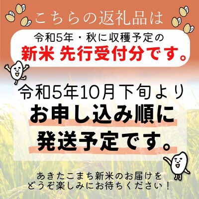 食品/飲料/酒30年産あきたこまち　10kg☓2袋　20kg