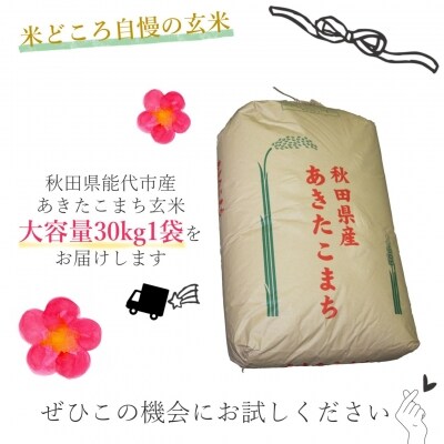 【令和4年産新米】あきたこまち 玄米 30kg 秋田県能代市産
